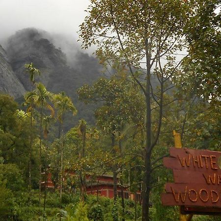 White Water Woods Resort Vythiri Buitenkant foto