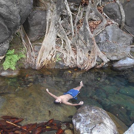 White Water Woods Resort Vythiri Buitenkant foto