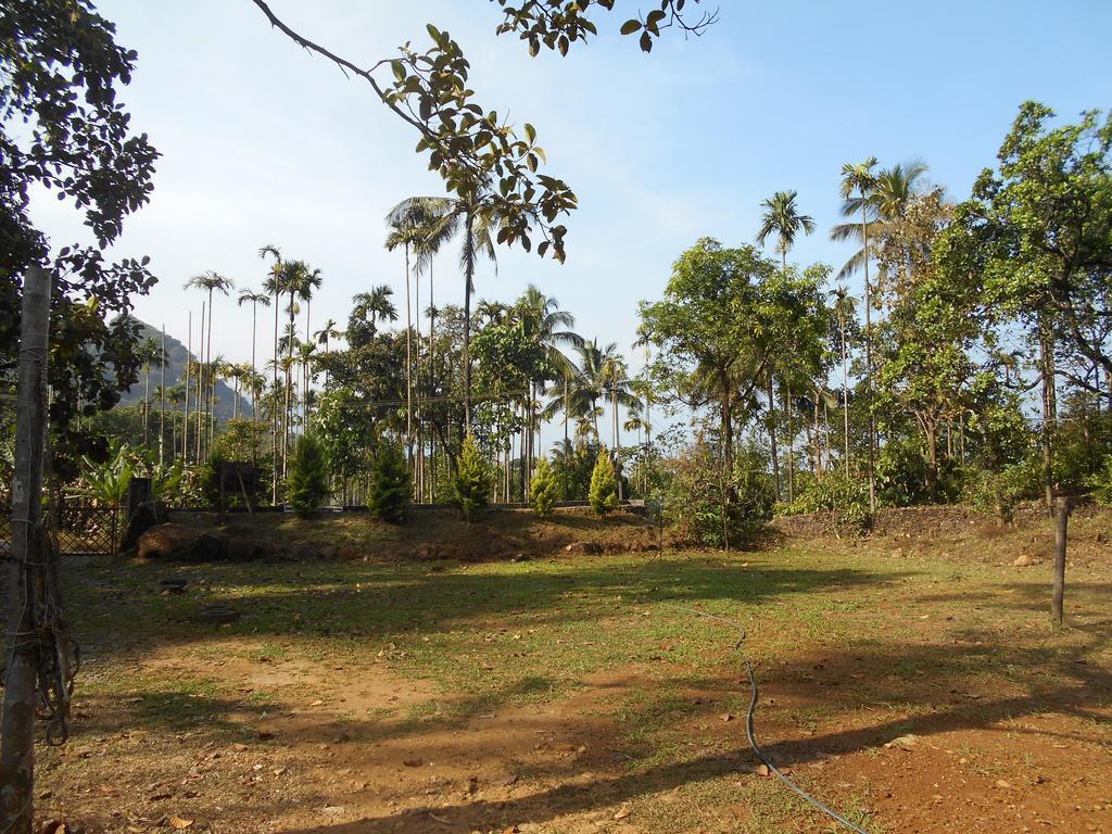 White Water Woods Resort Vythiri Buitenkant foto