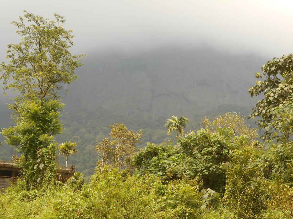 White Water Woods Resort Vythiri Buitenkant foto