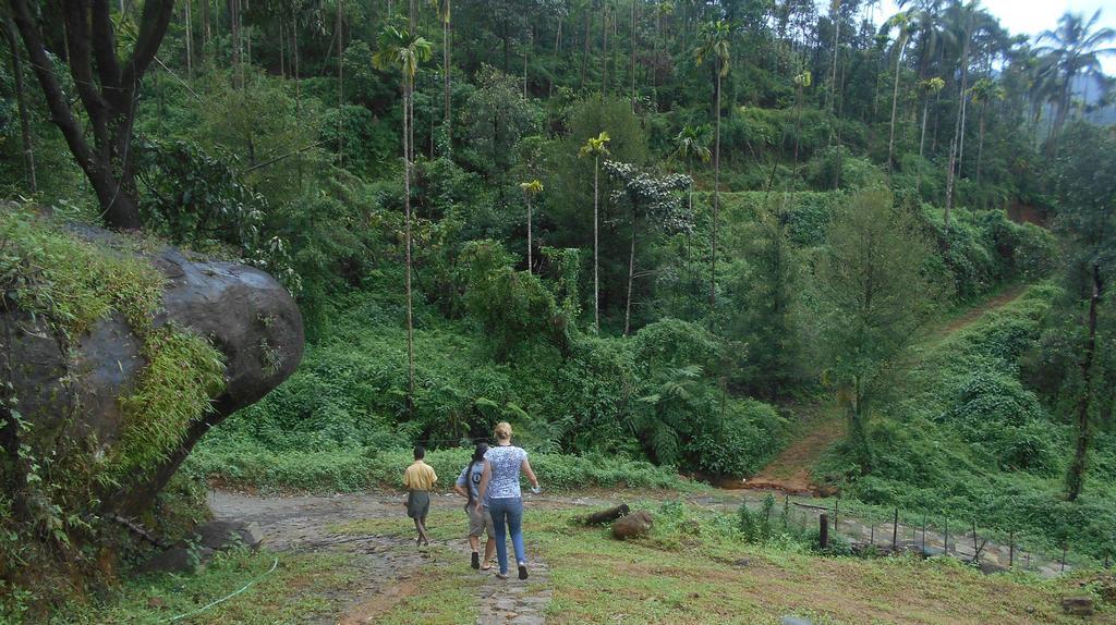 White Water Woods Resort Vythiri Buitenkant foto