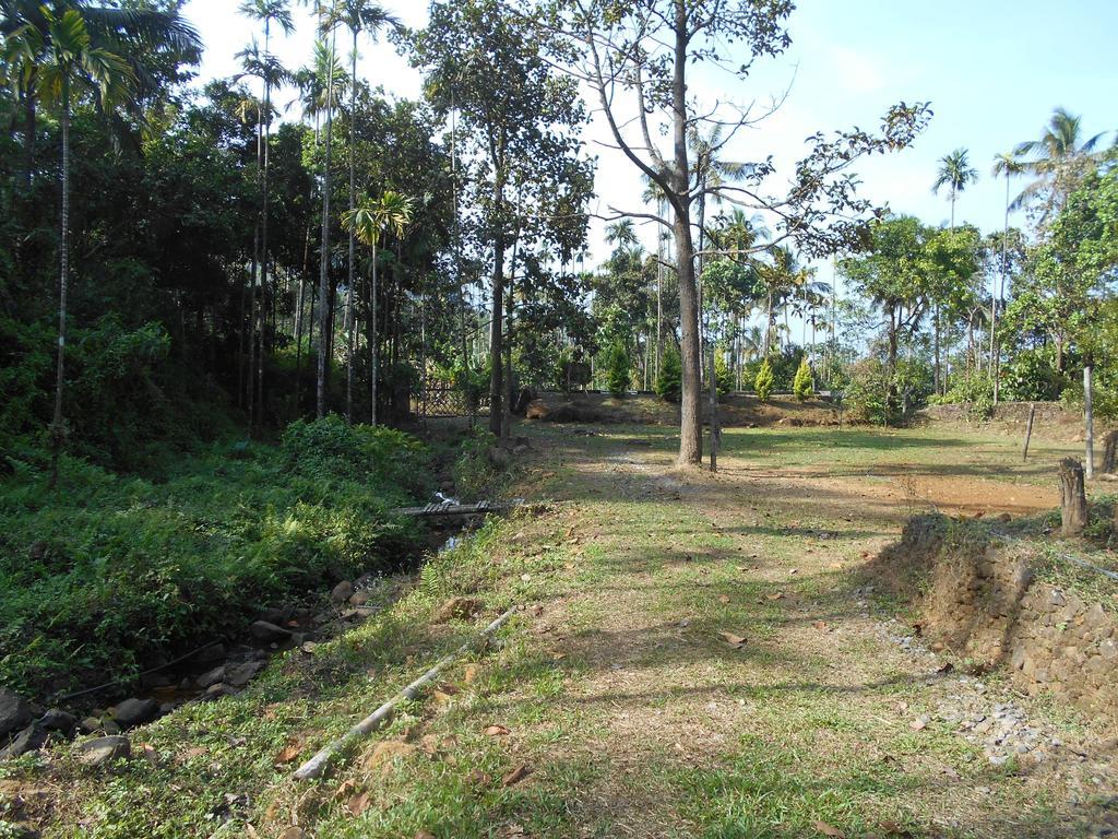 White Water Woods Resort Vythiri Buitenkant foto