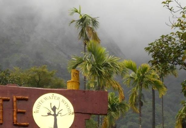 White Water Woods Resort Vythiri Buitenkant foto